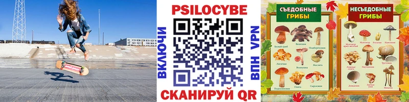 Псилоцибиновые грибы мицелий  кракен зеркало  Михайловка 